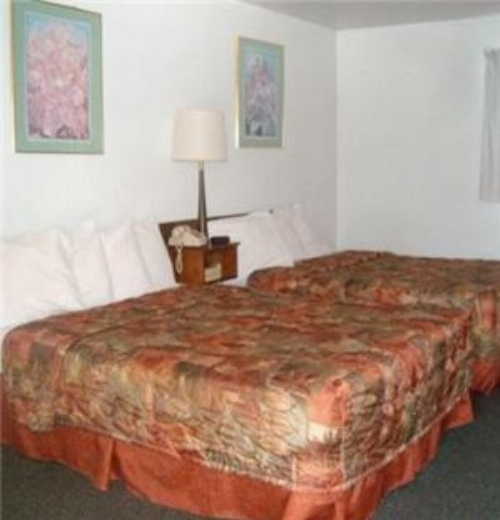 Western Motel Ranchester image 8